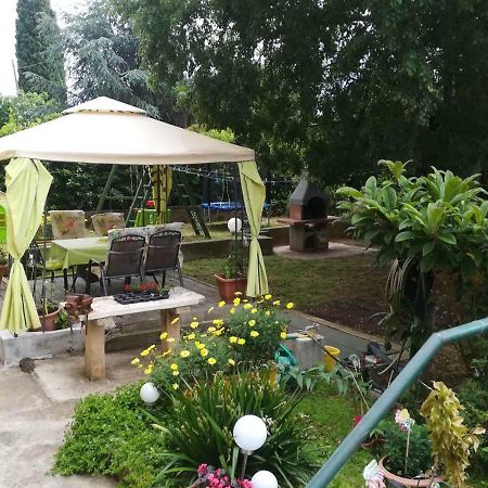 Apartment Mirana With Garden And Free Parking Zadar Buitenkant foto