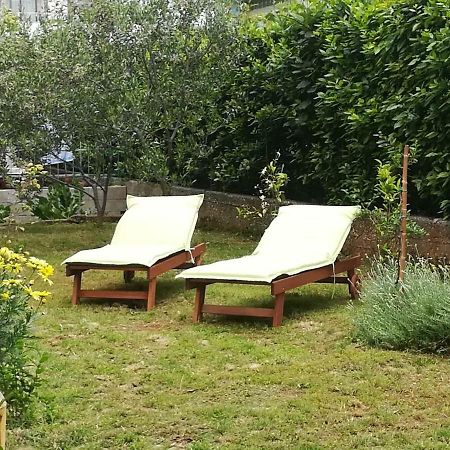 Apartment Mirana With Garden And Free Parking Zadar Buitenkant foto