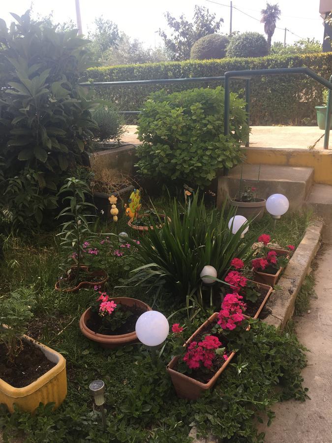 Apartment Mirana With Garden And Free Parking Zadar Buitenkant foto