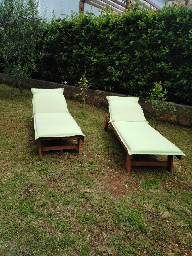 Apartment Mirana With Garden And Free Parking Zadar Buitenkant foto